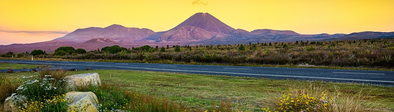 Blick auf den Tongariro Vulkan